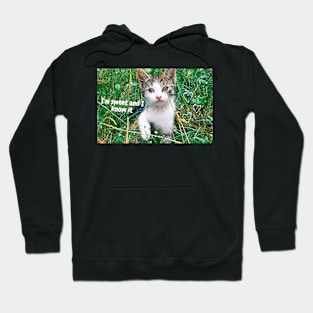 Kitten, I'm sweet and i know it Hoodie